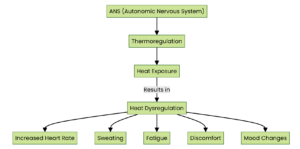 map of heat disregulation and massage